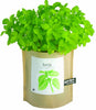 Basil Garden-in-a-Bag