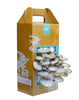 Grow Your Own Mushroom Garden Grow Your Own Mushroom Garden