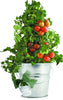 Mini Tomato Garden-in-a-Pail