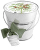 Mini Tomato Garden-in-a-Pail